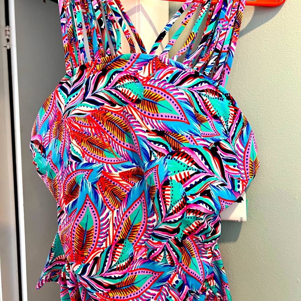 Penbroke Tankini. NWT. Size 16. Tummy control.